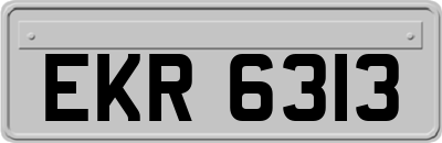 EKR6313