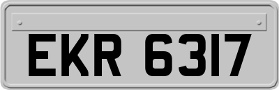 EKR6317