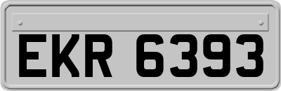 EKR6393