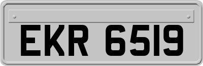 EKR6519
