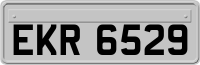 EKR6529