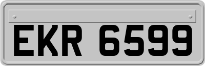EKR6599