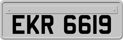 EKR6619