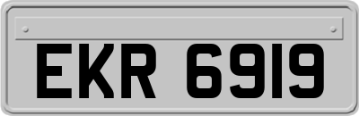 EKR6919