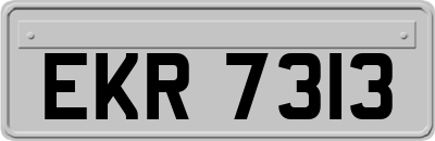 EKR7313