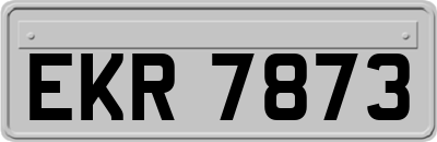 EKR7873