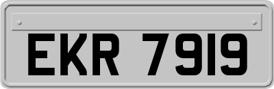 EKR7919