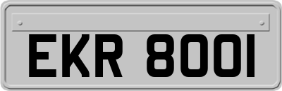 EKR8001