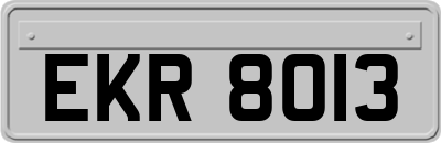 EKR8013