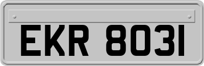EKR8031