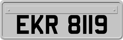 EKR8119