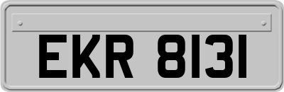 EKR8131
