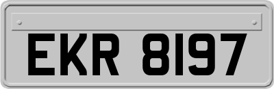 EKR8197