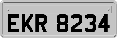 EKR8234