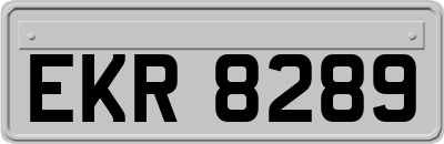 EKR8289