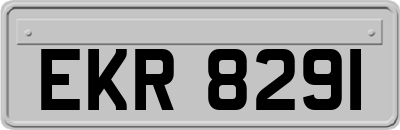 EKR8291