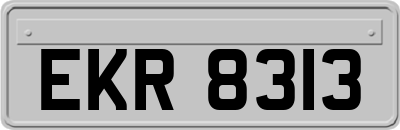 EKR8313