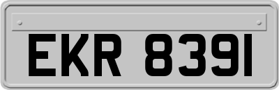 EKR8391