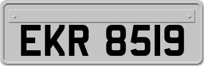 EKR8519