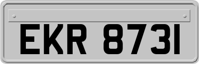 EKR8731