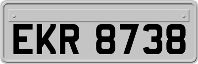 EKR8738