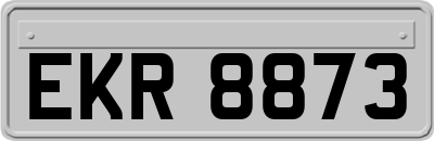 EKR8873
