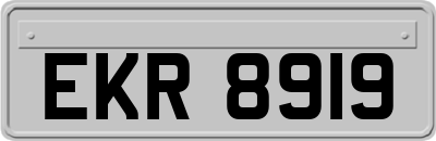 EKR8919