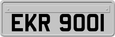 EKR9001