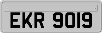 EKR9019