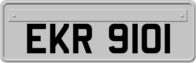EKR9101