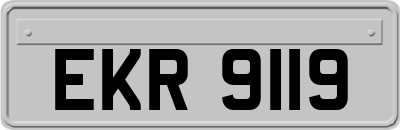 EKR9119