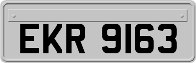 EKR9163