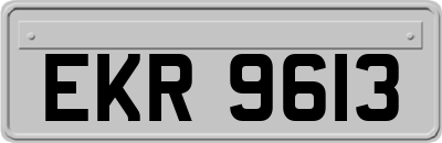 EKR9613