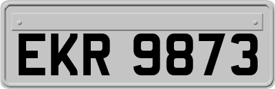 EKR9873