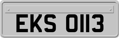 EKS0113