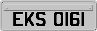 EKS0161