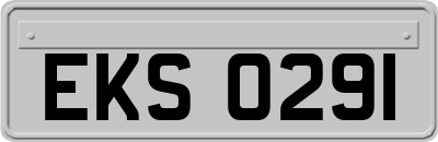 EKS0291