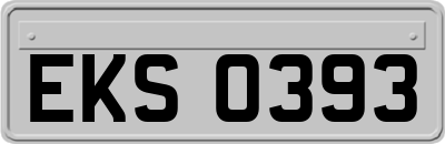 EKS0393