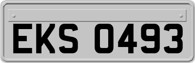 EKS0493
