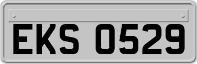 EKS0529