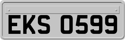 EKS0599