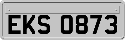 EKS0873