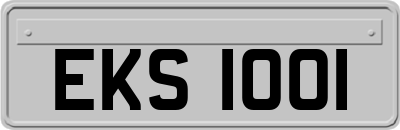 EKS1001