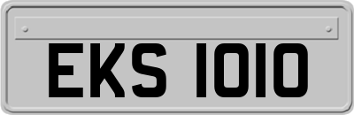 EKS1010