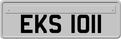 EKS1011