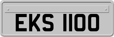 EKS1100