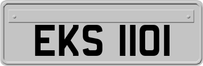 EKS1101