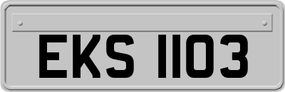 EKS1103