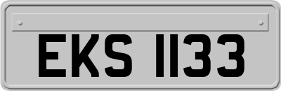 EKS1133