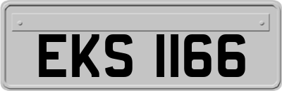 EKS1166